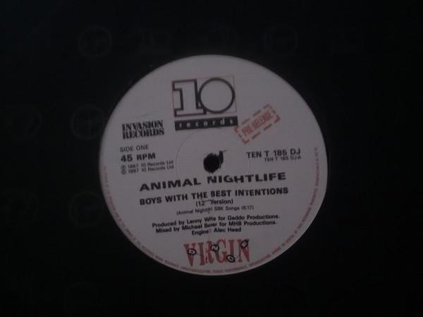 Animal Nightlife - Boys With The Best Intentions