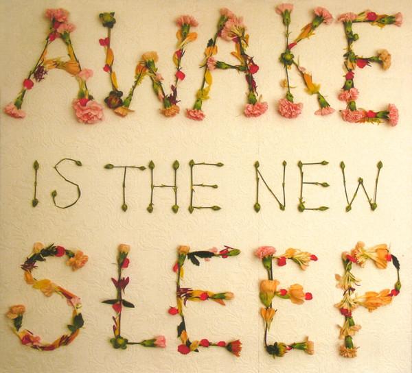 Ben Lee - Awake Is The New Sleep