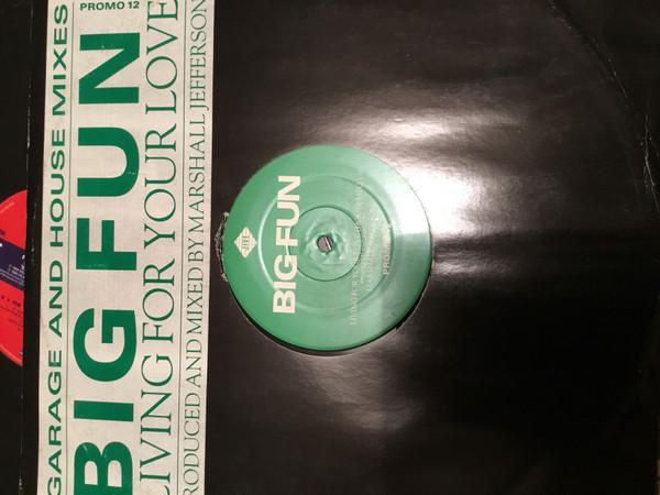 Big Fun - Living For Your Love