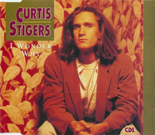 Curtis Stigers - I Wonder Why
