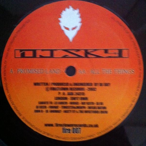 DJ Sky  - Promised Land / All The Things