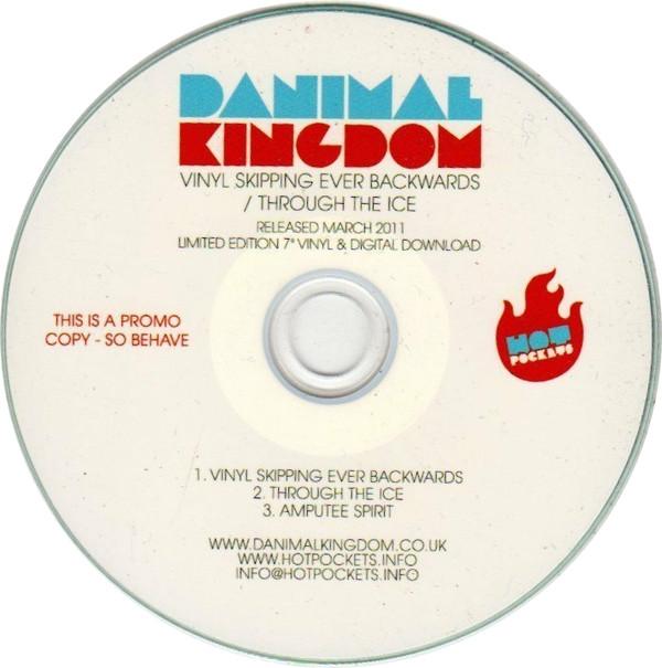 Danimal Kingdom - Vinyl Skipping Ever Backwards / Through The Ice