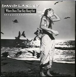 David Lasley - Where Does That Boy Hang Out