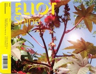 Eliot  - Shine