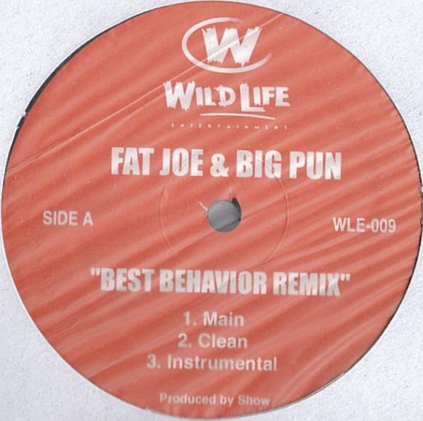 Fat Joe, Big Punisher, A Bless - Best Behaviour (Remix) / My Life's On The Edge