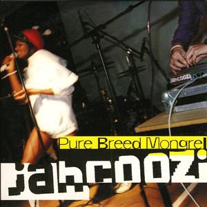Jahcoozi - Pure Breed Mongrel
