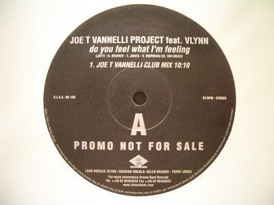 Joe T. Vannelli Project, Vlynn - Do You Feel What I'm Feeling