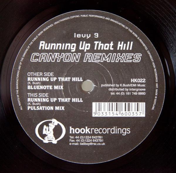 Levy 9 - Running Up That Hill (Canyon Remixes)