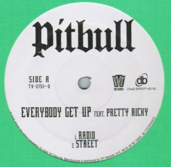 Pitbull, Pretty Ricky  - Everybody Get Up