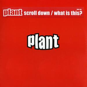 Plant  - Scroll Down / What Is This?