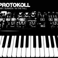 Protokoll - DNR