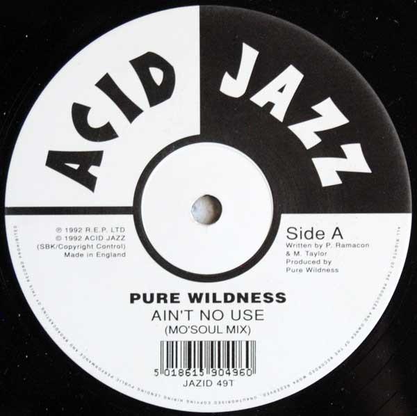 Pure Wildness - Ain't No Use