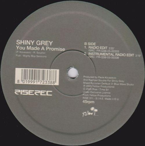 ShinyGrey - You Made A Promise