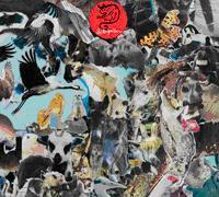 Snöleoparden - Snöleoparden