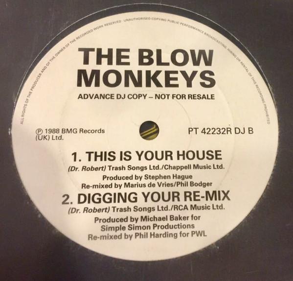 The Blow Monkeys - It Pays To Be Long