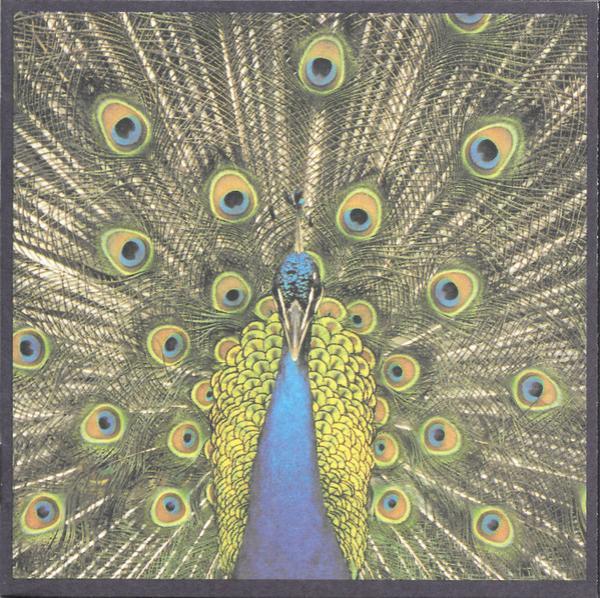 The Bluetones - Expecting To Fly