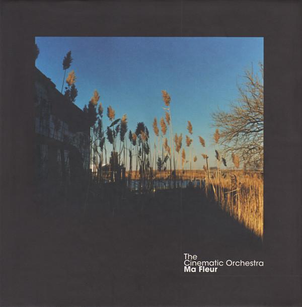 The Cinematic Orchestra - Ma Fleur