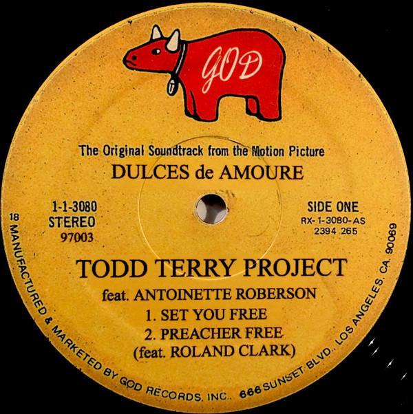 The Todd Terry Project - Set You Free