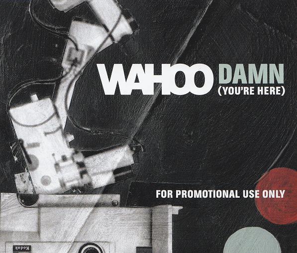 Wahoo - Damn (You're Here)