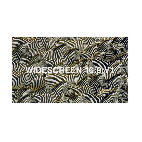  - Widescreen:16:9:V1