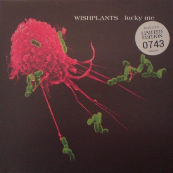 Wishplants - Lucky Me
