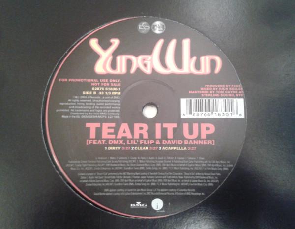 Yung Wun, DMX, Lil' Flip, David Banner - Tear It Up