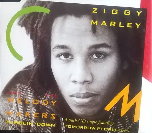 Ziggy Marley And The Melody Makers - Tumblin' Down