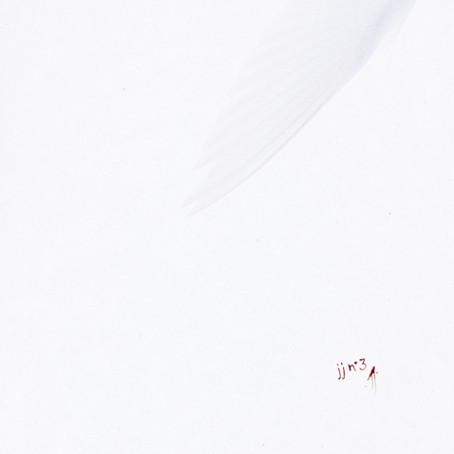 jj  - jj n° 3